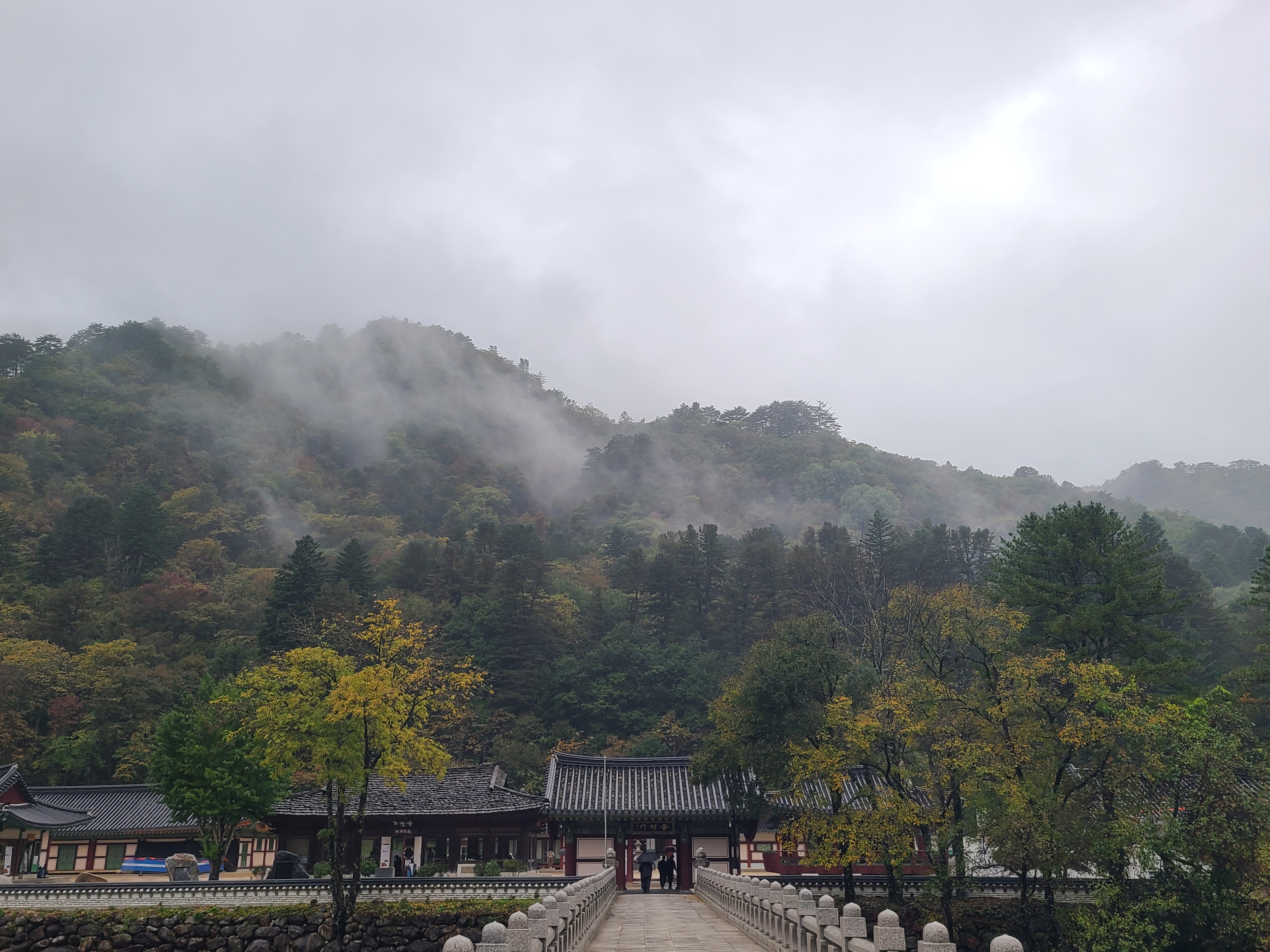 고성 관광지