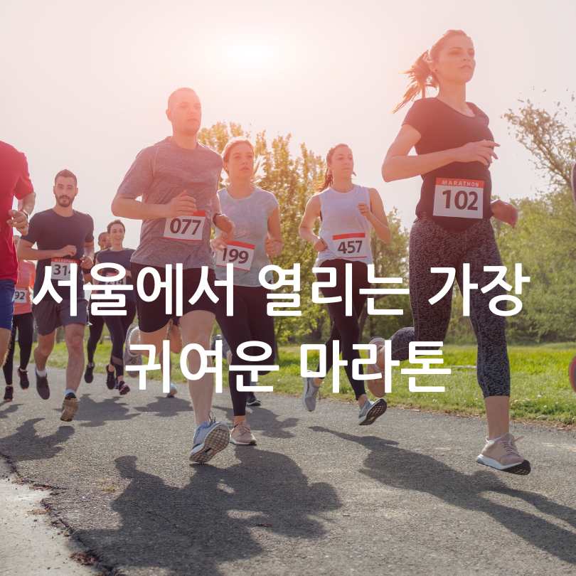 2025 산리오 마라톤 사전접수 꿀팁