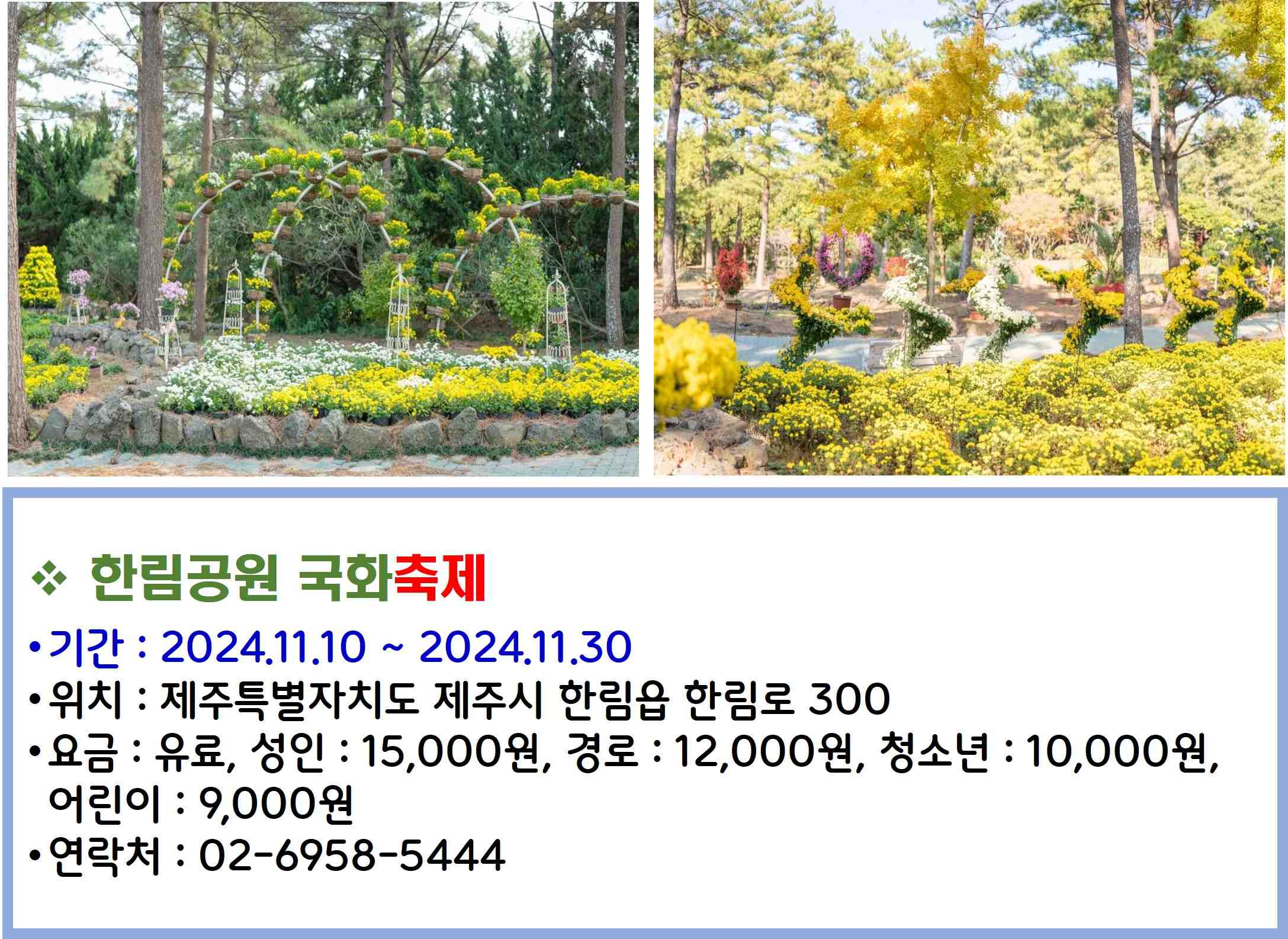 한림공원 국화축제