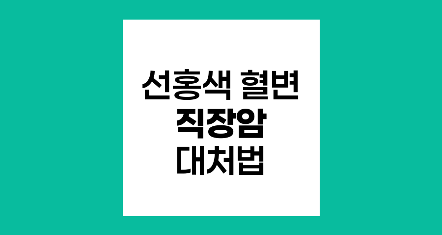 선홍색 혈변과 직장암, 증상 해석과 대처법