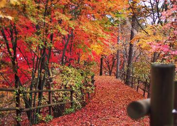청남대 관람 예약