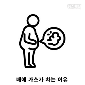 배에 가스가 자주 차는 이유