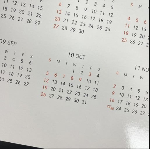대체 공휴일