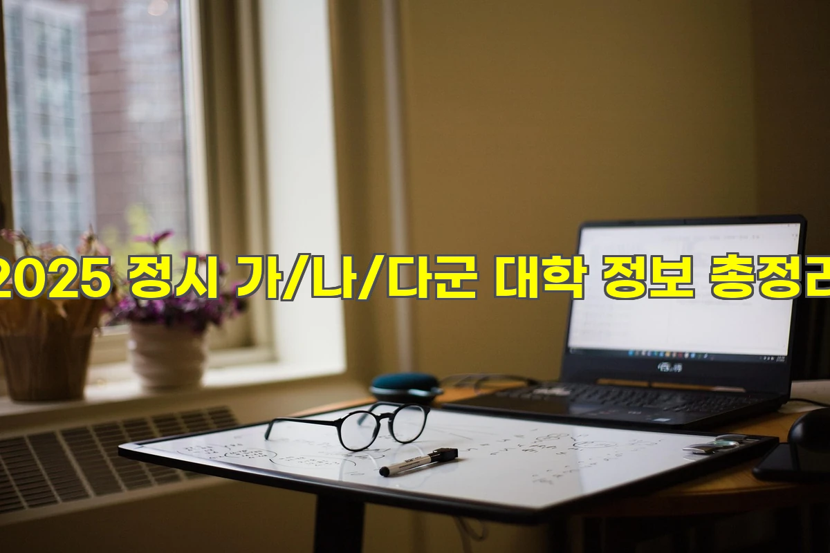 2025 정시 가/나/다군 대학 정보 총정리