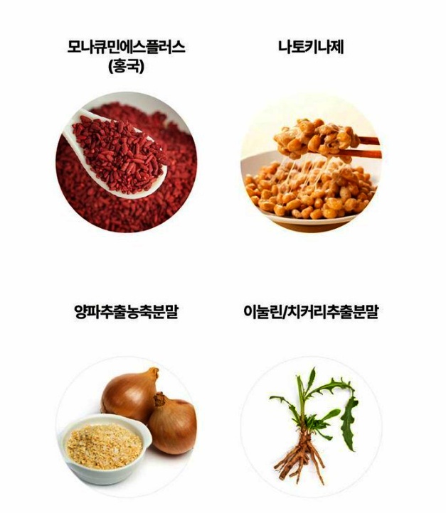 양파추출물과 혈압