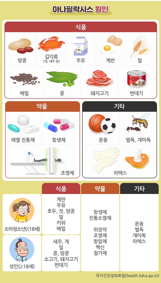 식품알레르기의 원인과 증상 관련 이미지