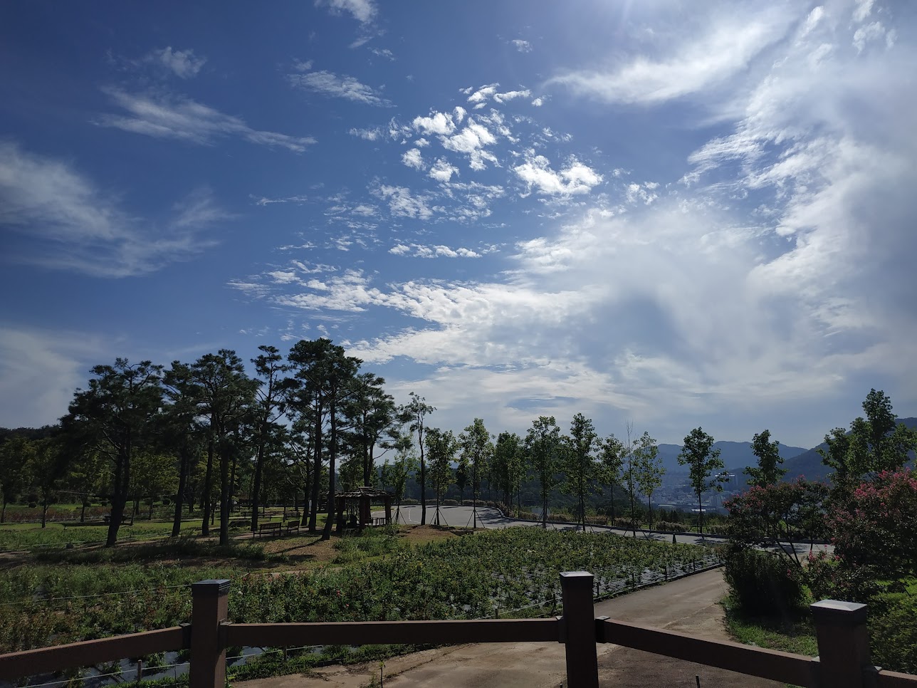 해운대 수목원. 가을하늘