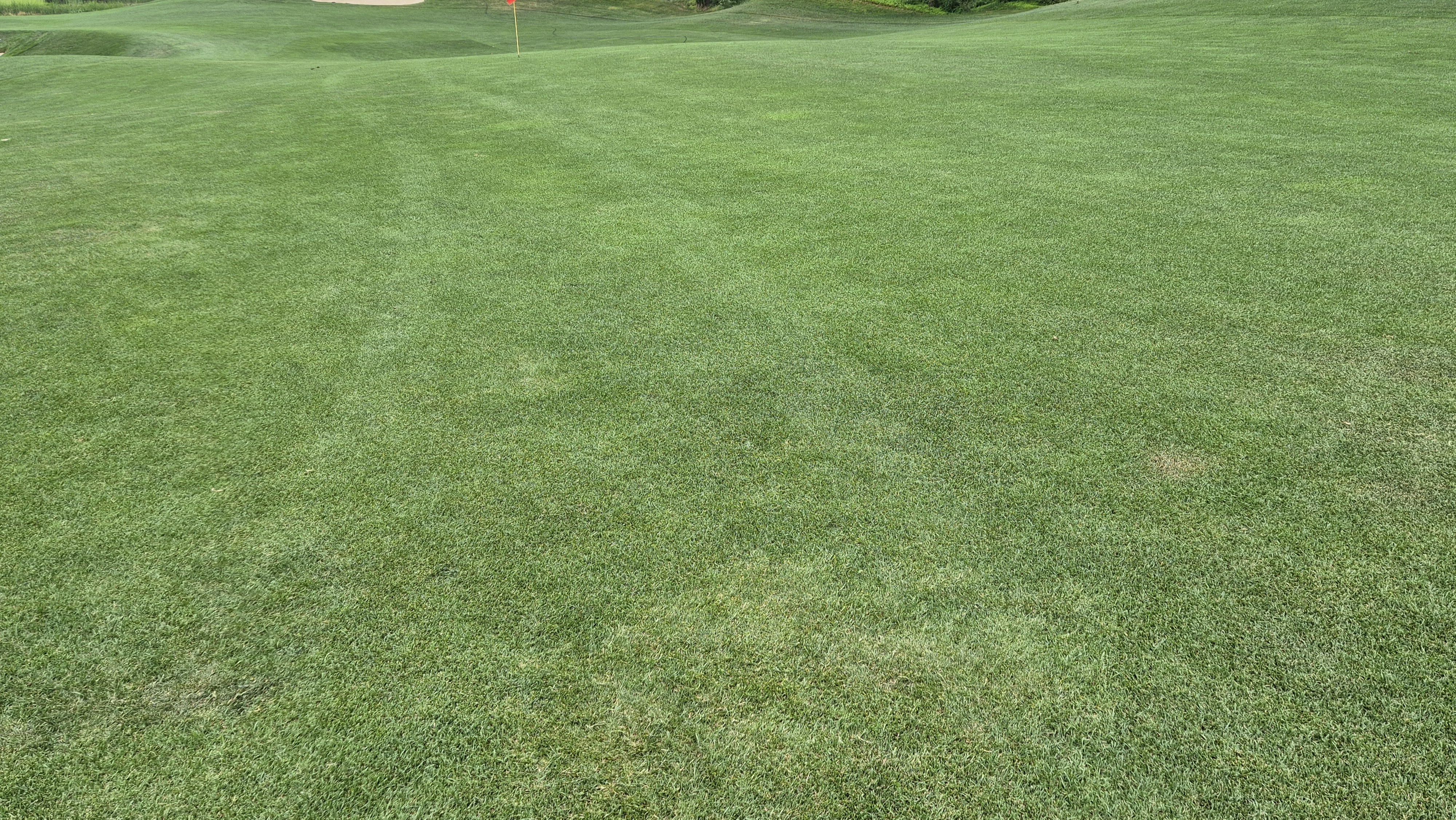 파인리즈cc 라운드 후기