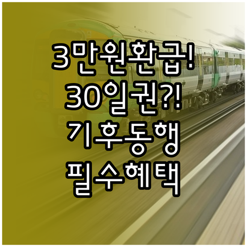 2026년 기후동행카드 30일권 월 ..