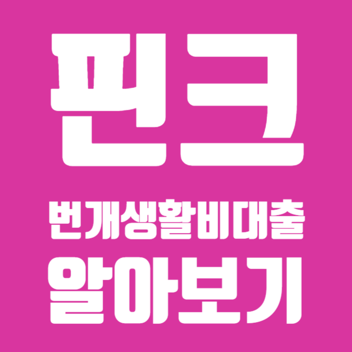 핀크번개생활비대출