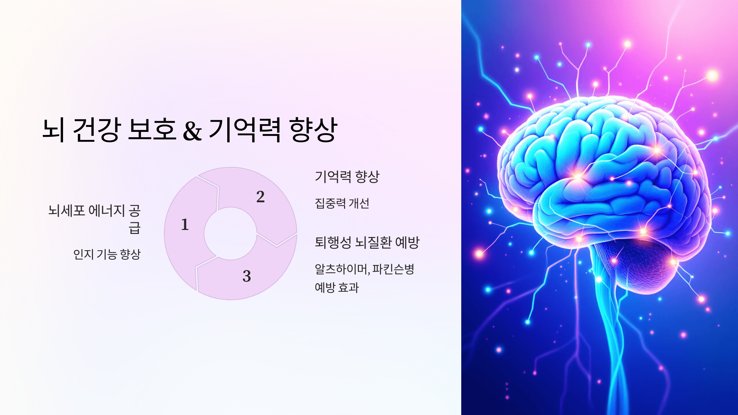 코큐텐과 관련된 사진입니다.