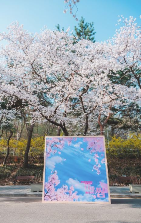 렛츠런파크 벚꽃축제 야경