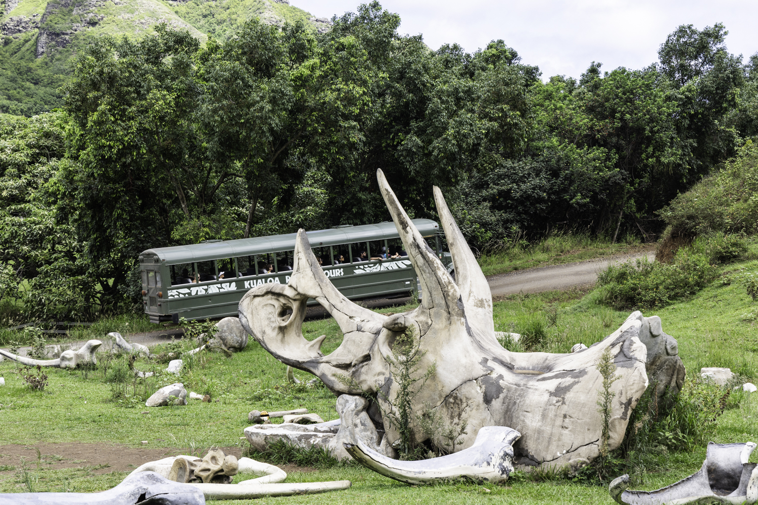 쿠알로아랜치 무비 사이트 투어 