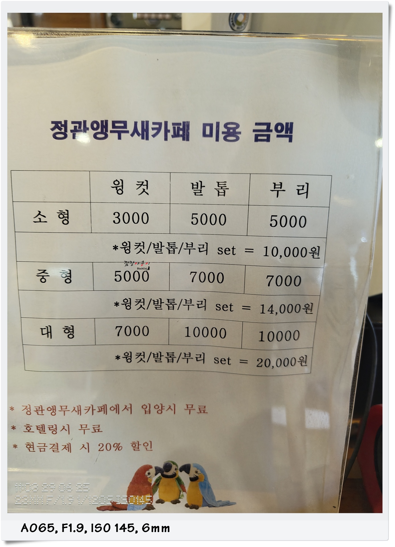 정관 앵무새카페 앵무새 미용과 분양 안내 공간