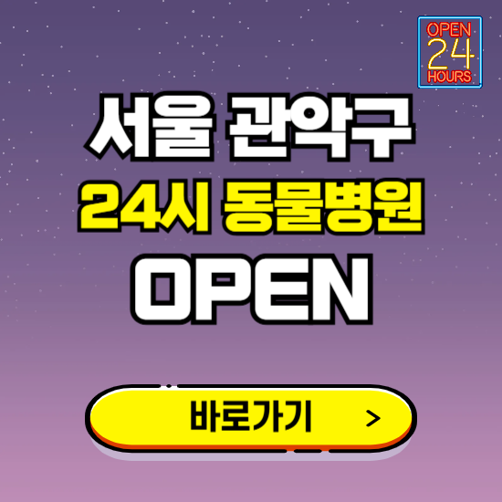 서울 관악구 24시 동물병원 진료하는 곳 ❘ 설날 휴일 야간 심야 문여는곳 찾기 ❘ 응급진료