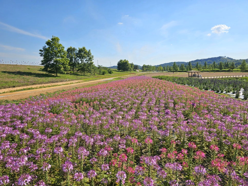 익산 용안생태습지