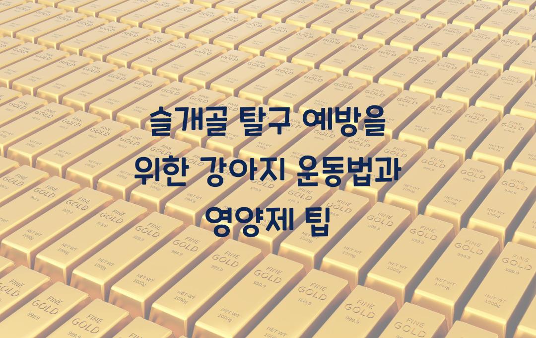 슬개골 탈구 예방을 위한 강아지 운동법