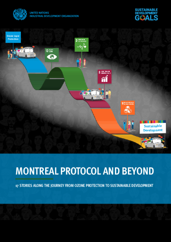 향후 전망과 과제