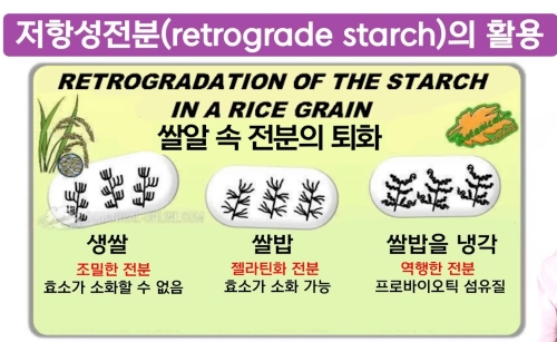 혈당 스파이크 예방 7가지 방법