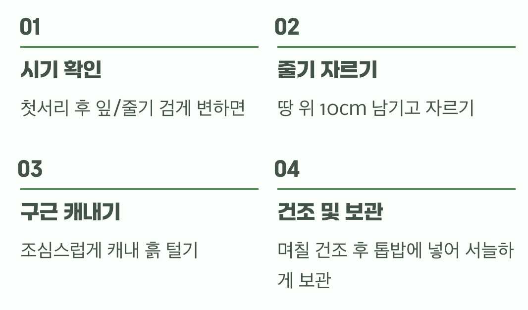 5. 가장 중요한 과제, 겨울잠 재우기