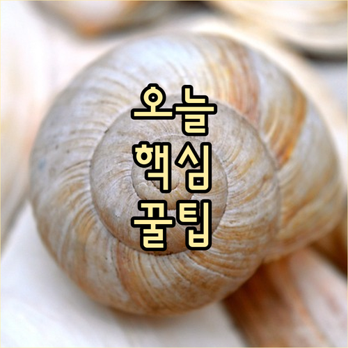 마포구 토정동 재활용품 분리배출 핵심..