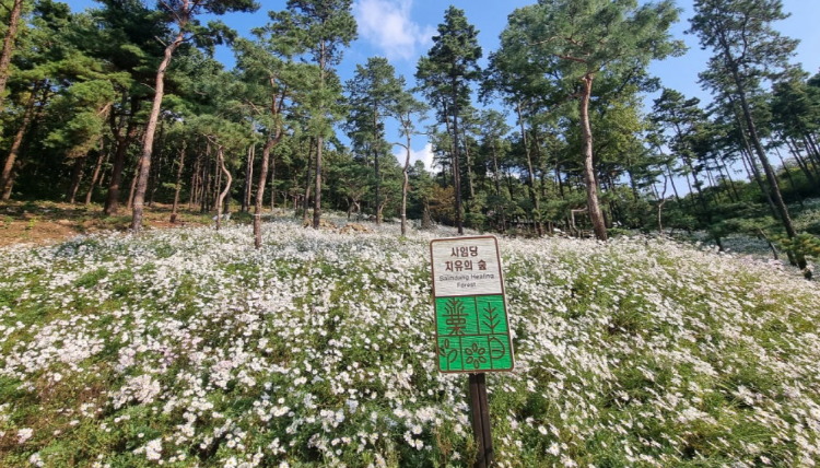 파주 율곡수목원