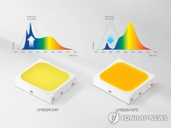 멜라토닌 많은 음식_5