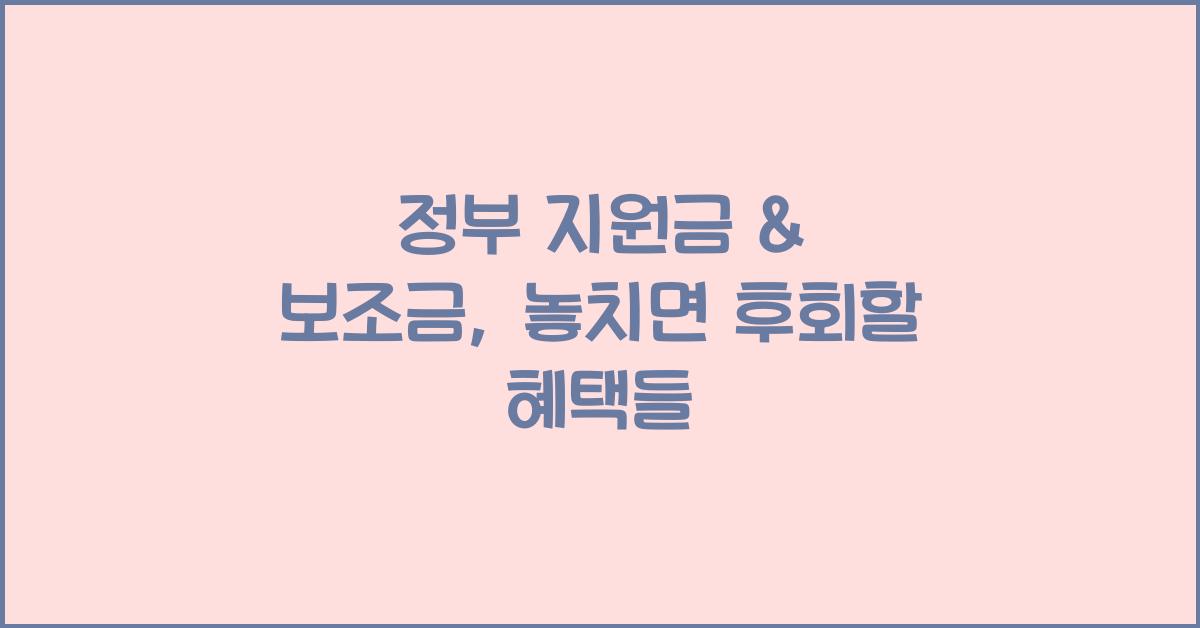 정부 지원금 & 보조금