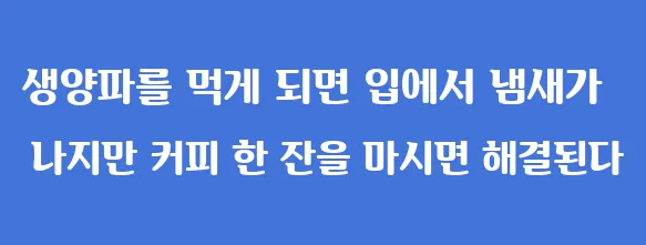 생양파를 먹게 되면 입에서 냄새가 나지만 커피 한 잔을 마시면 해결된다