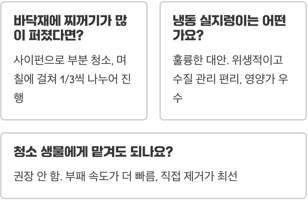 실지렁이 급여 후 남은 찌꺼기&amp;#44; 어떻게 처리해야 할까?