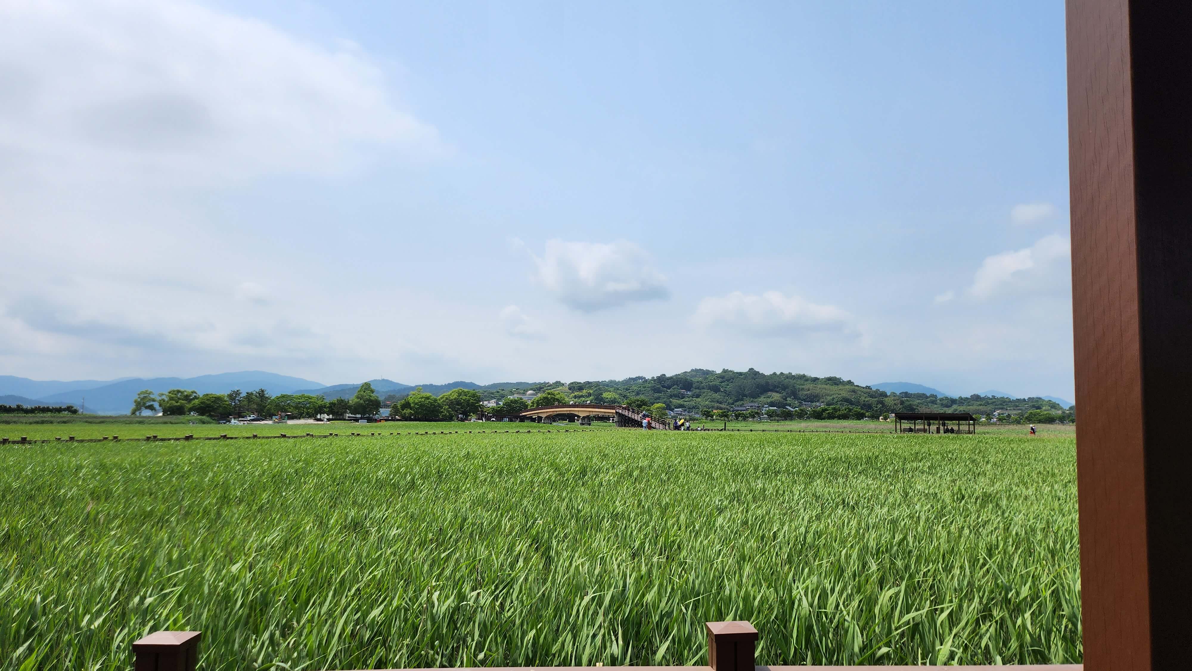 6월 순천 여행 (순천만국정원, 순천만습지, 여행 팁)
