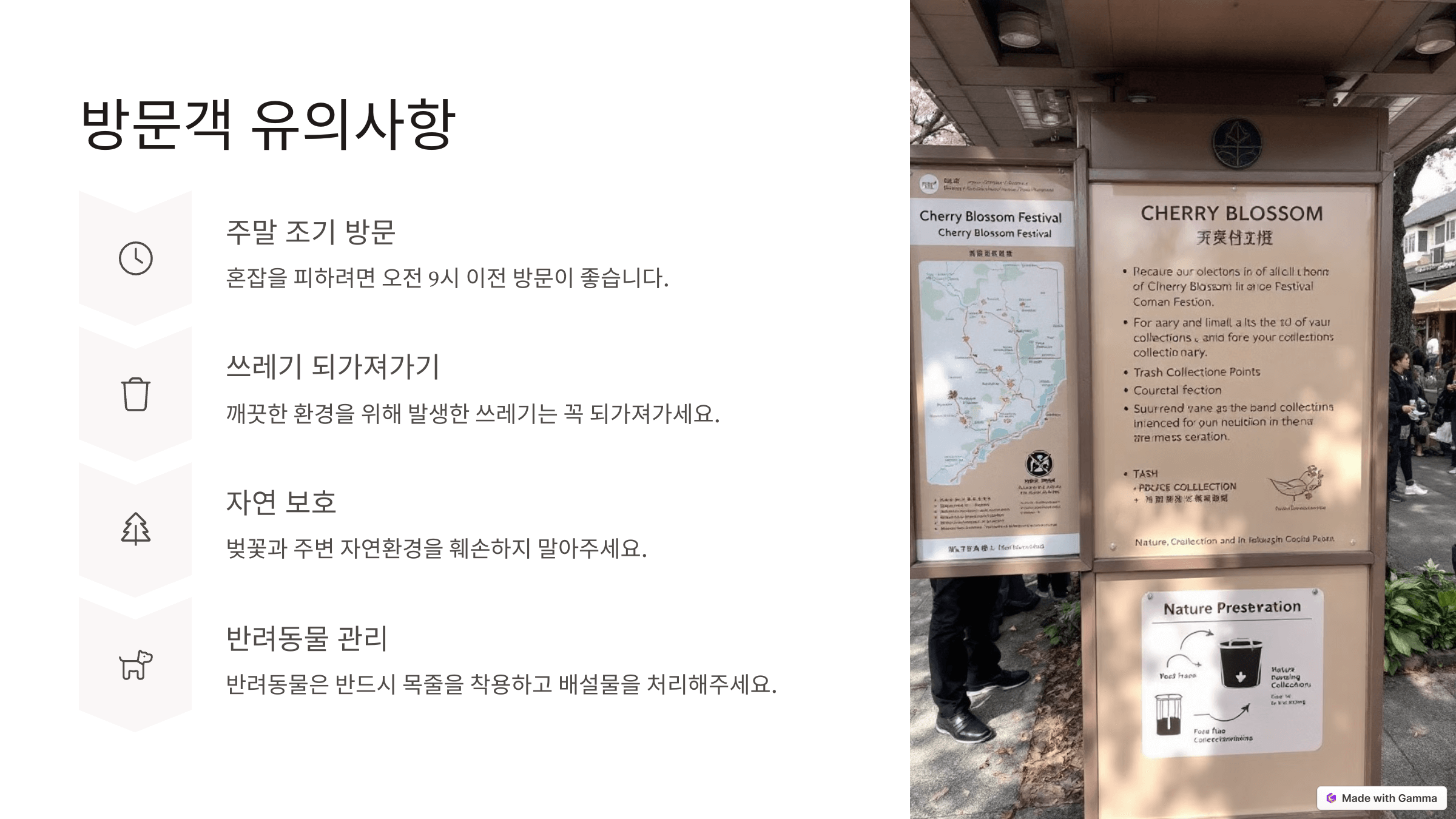 대청호 벚꽃축제