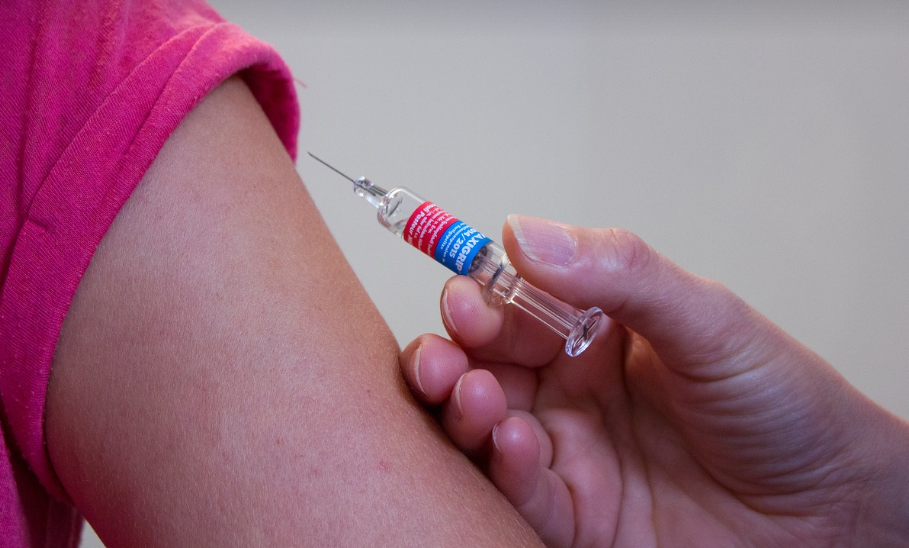 예방접종의 모습