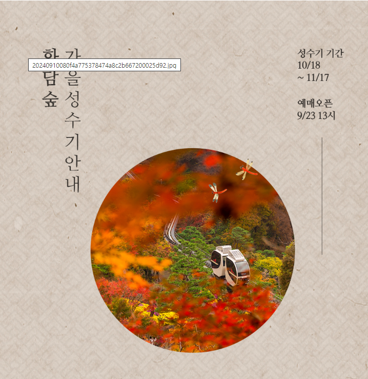 화담숲 가을성수기