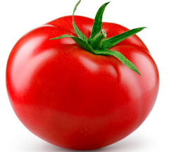 토마토