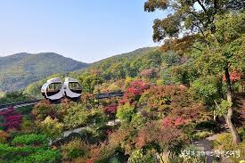 2024 화담숲 예약 가이드