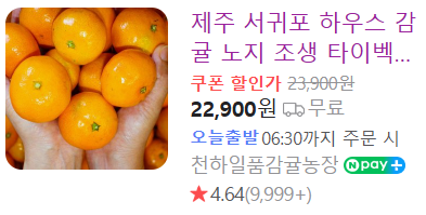 서귀포 감귤