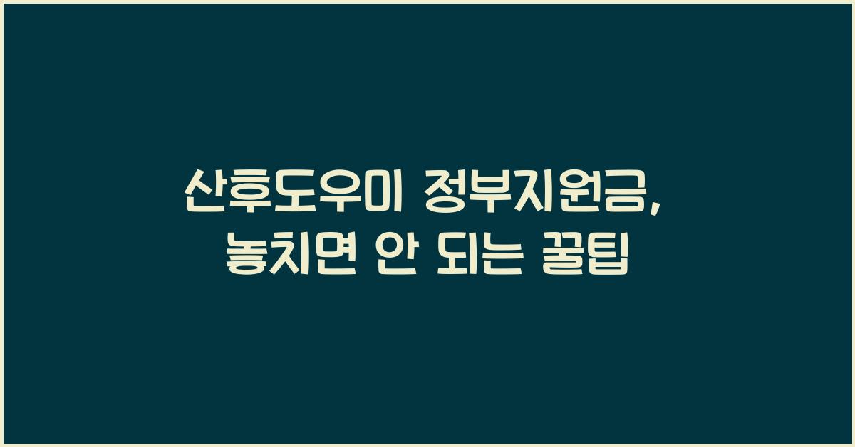 산후도우미 정부지원금