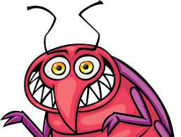 빈대 퇴치법 예방법 증상 진단 치료 정리