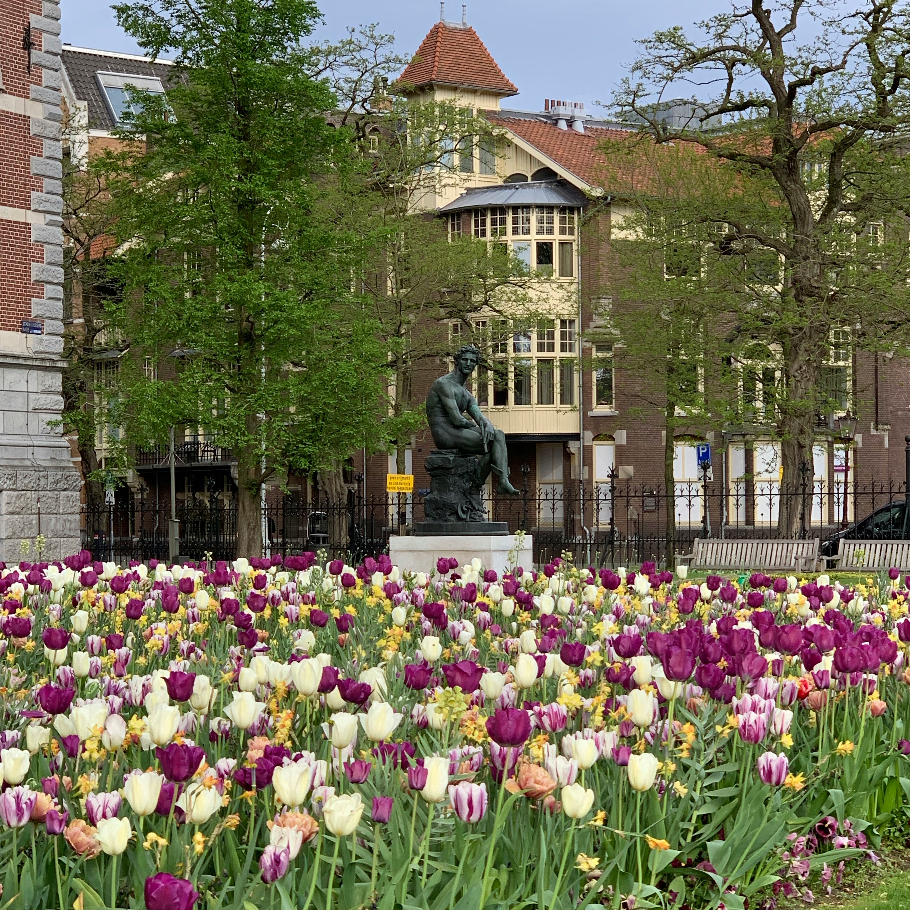 봄에 피는 꽃 이미지