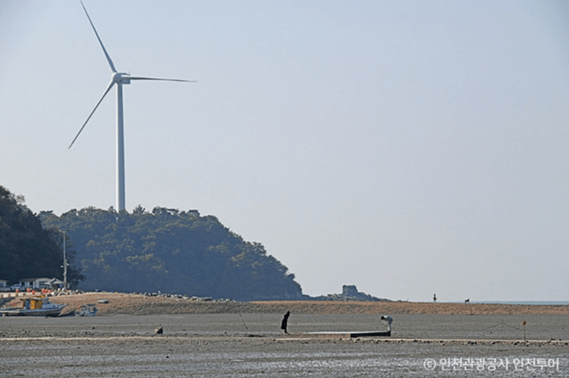 장경리해수욕장 ( 옹진군)