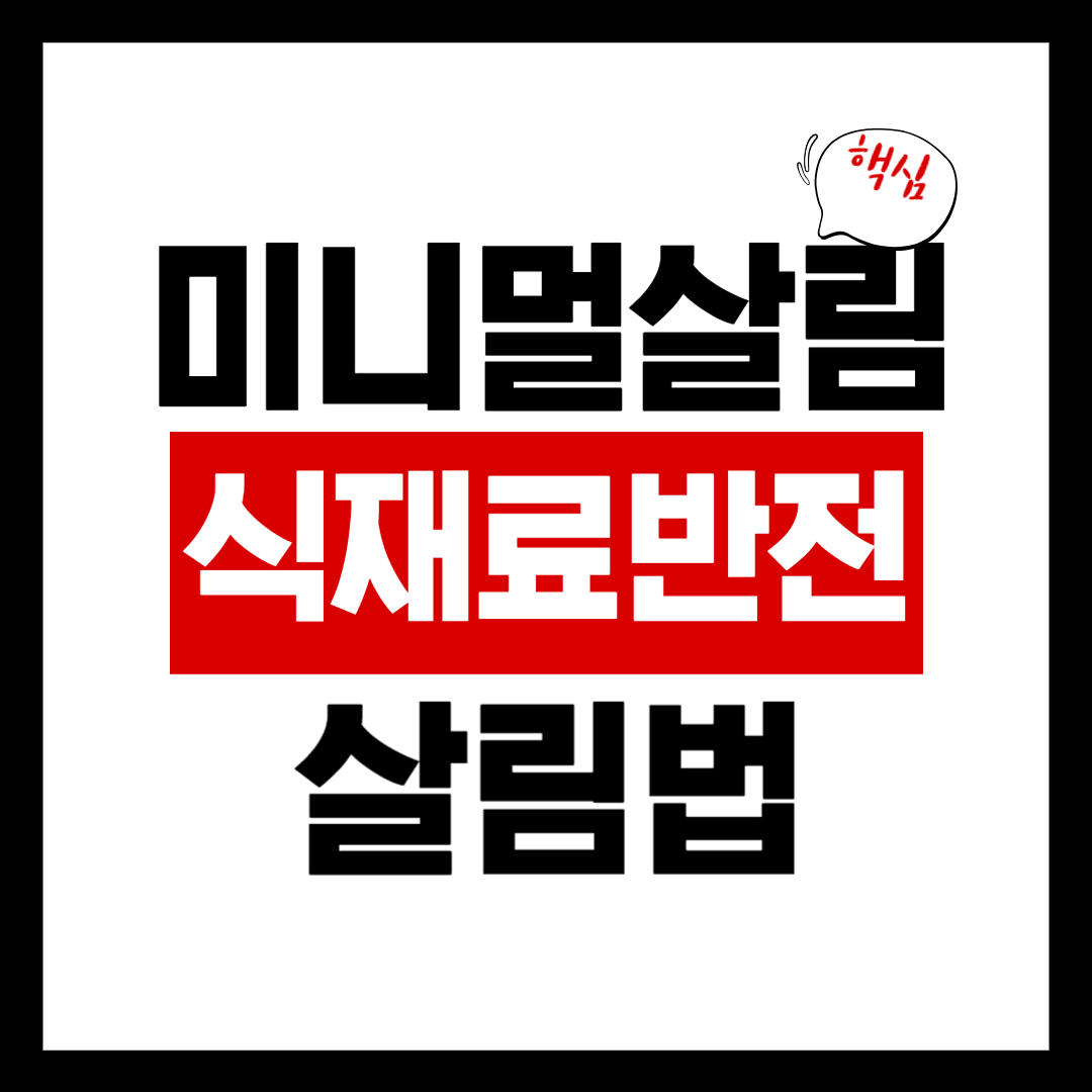 미니멀살림