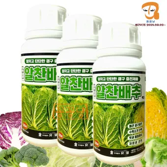 김장배추 웃거름비료 주는시기와 방법을 안내_19