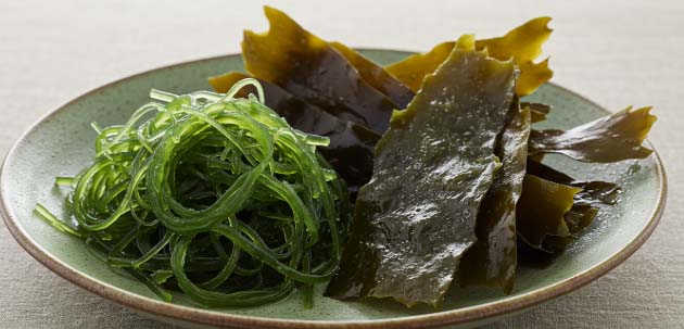 장 건강에 좋은 음식 - 해조류 (미역, 다시마)