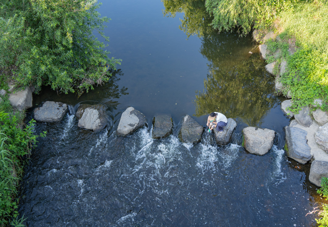 신동 수변공원 돌다리