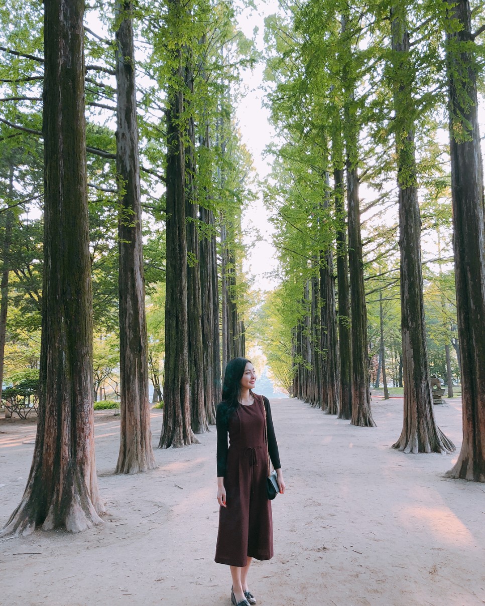 김이선 아나운서 여신미모 김이선 아나운서 여신미모