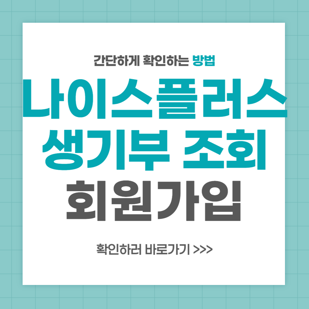 나이스 플러스 생기부