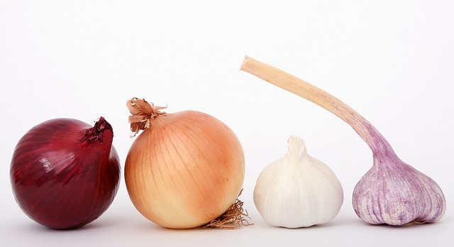 양파 칼로리