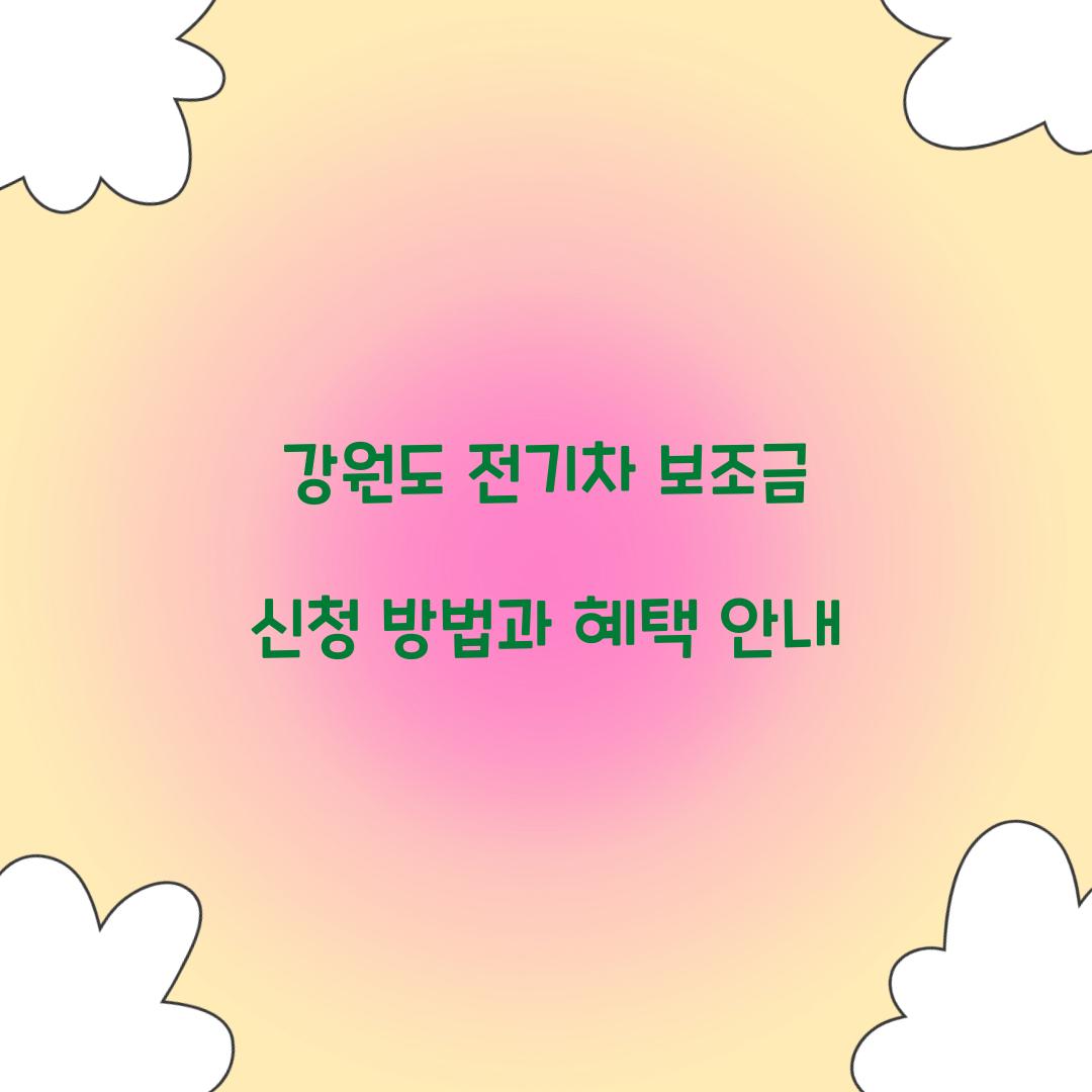 강원도 전기차 보조금