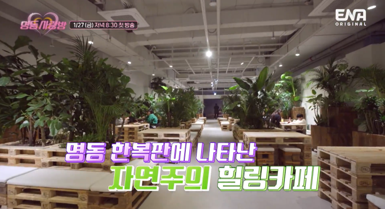 명동사랑방-촬영지-어반플랜트